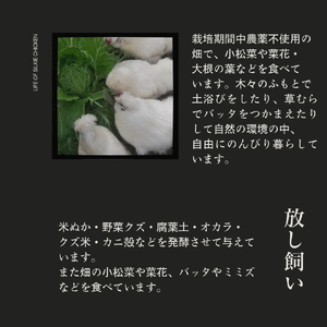 特選 有精卵 烏骨鶏のたまご 9個セット ［ 楊貴妃卵 ］烏骨鶏の卵 烏骨鶏の玉子 烏骨鶏 うこっけい 放し飼い卵 平飼い卵 贈答用 ギフト