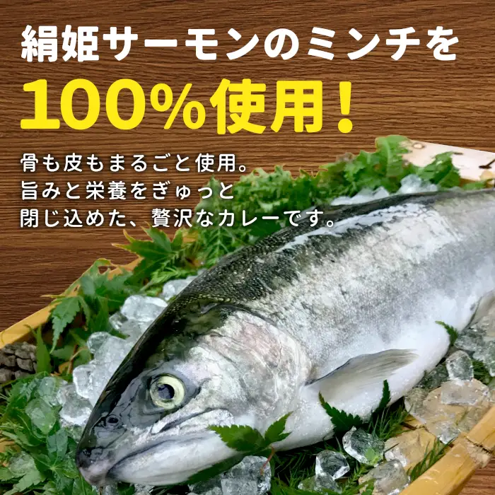絹姫サーモン奥三河おさかなキーマカレー　6個セット  レトルトカレー カレー 魚カレー -009