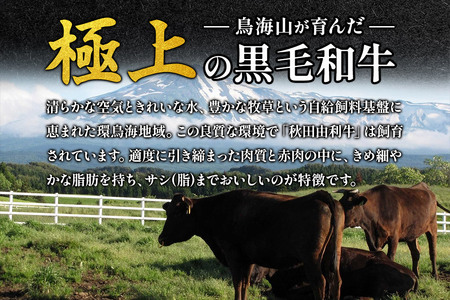 秋田由利牛 すき焼き用 モモ 1.5kg（300g×5パック）