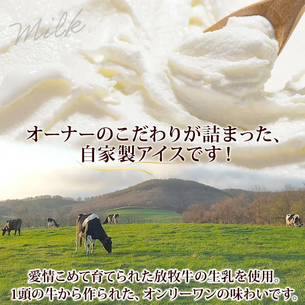 3221. 牧之瀬牧場 自家製アイス チョコ 90ml 12個 アイス 氷菓子 チョコ味 チョコレート フレーバー 牧場 手作り セット おやつ デザート スイーツ 冷凍 ギフト 送料無料 北海道 弟子屈町