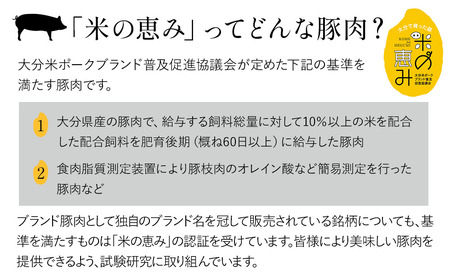 「米の恵み」 豚ロースかつ 約120g×5枚 | お肉 肉 おにく にく 豚 豚肉 ロース ブランド豚 ロースかつ とんかつ トンカツ 惣菜 おかず 冷凍 国産 大分県産 九州産 大分県 中津市