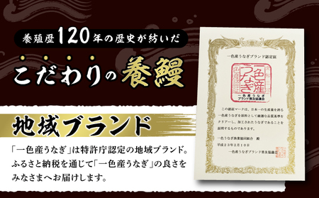 【定期便】一色産うなぎ　無頭　長蒲焼4尾（640g）×6回・I063