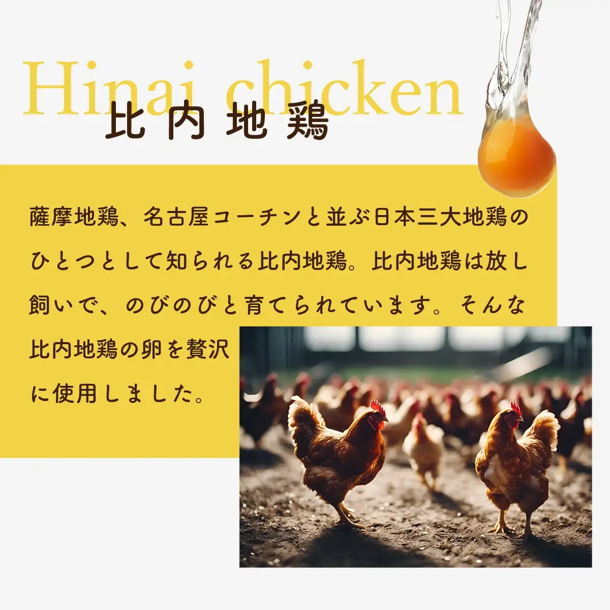 比内地鶏プリン 6個　35P5611
