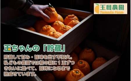  不知火 旨時 体に優しい玉ちゃん しらぬい 約 3kg / デコポン 訳あり 家庭用 高級 甘い 和歌山 有田 柑橘 ※3月上旬～4月に順次発送予定 【tmd010-p-3】