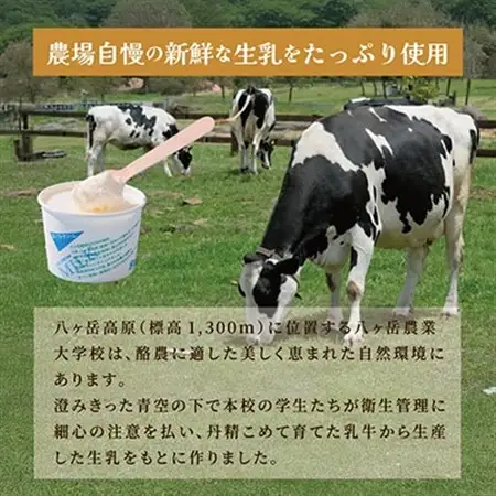 八ヶ岳農場 生ソフトクリームアイス 6個_菓子・スイーツ アイス・ジェラート  _【配送不可地域：離島】【1586194】