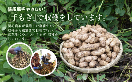★先行予約★【2026年9月上旬より順次発送！】とれたて新鮮! 生落花生 おおまさり 2kg 殻付き／ らっかせい 落花生 生落花 掘り取り 手もぎ 新鮮 おやつ おつまみ お料理 ゆで落花生 ピーナッツ 千葉県 山武市 SMCK001