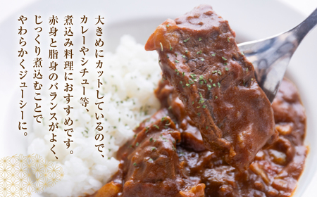 飛騨牛 煮込み用 スネ肉切り落とし 1kg（500g×2）【39-40】