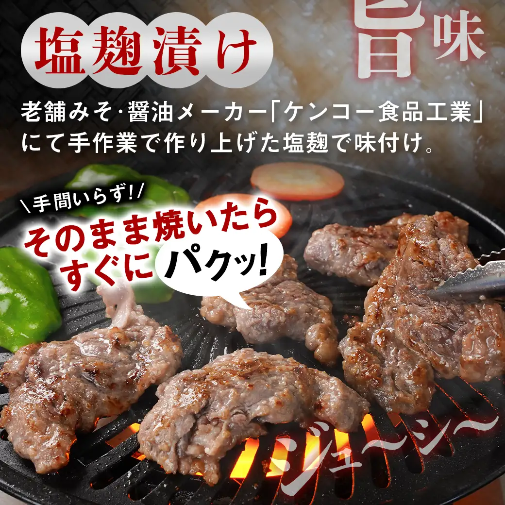 牛ハラミ 塩麹タレ漬け900g〔LG8J-33-025-900g〕_(都城市)  味付き 牛肉 真空 小分け
