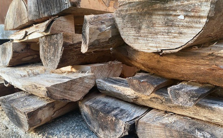 【五え松工房】希少！マンゴーの木のフォーク 2本セット カトラリー