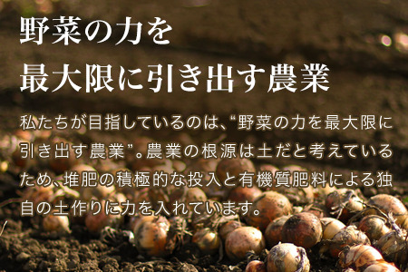 【令和8年産予約受付】玉ねぎ 10kg 北海道産玉ねぎ 本山農場