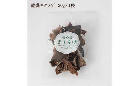 福島県鏡石町産 生キクラゲ 詰め合わせ (全4種 計8袋) きくらげ きのこ キノコ  F6Q-107