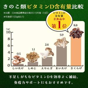 福寿「生キクラゲ」500g (100g×5パック) きくらげ きのこ キノコ F6Q-108
