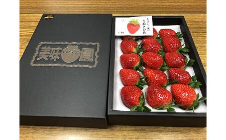 【全3回】美味いちご園のさぬきひめいちご定期便