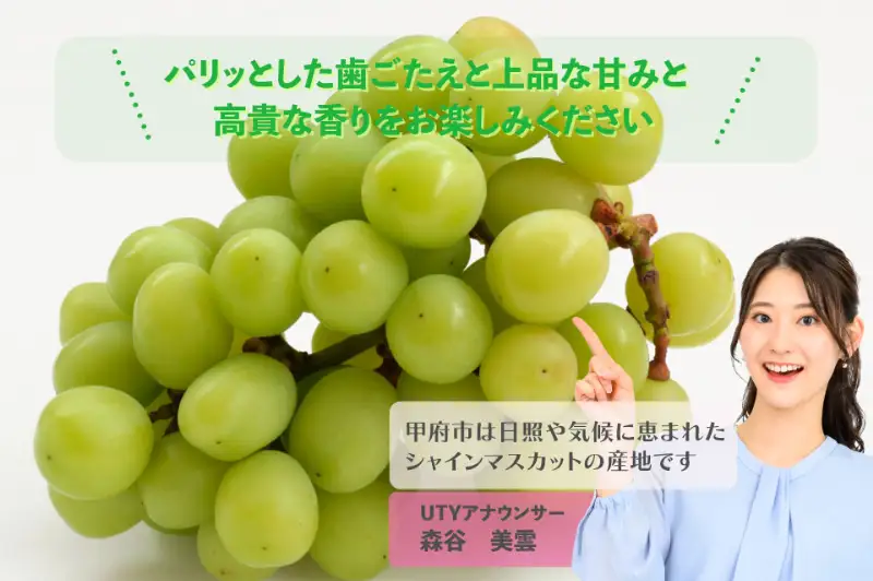 【2026年配送分】甲府フルーツ定期便