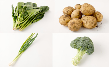 綺麗な水の街熊本で採れた新鮮野菜詰め合わせセット 約4～5kg 野菜 やさい 野菜詰合せ 詰め合わせ セット 国産 熊本県 熊本市 九州