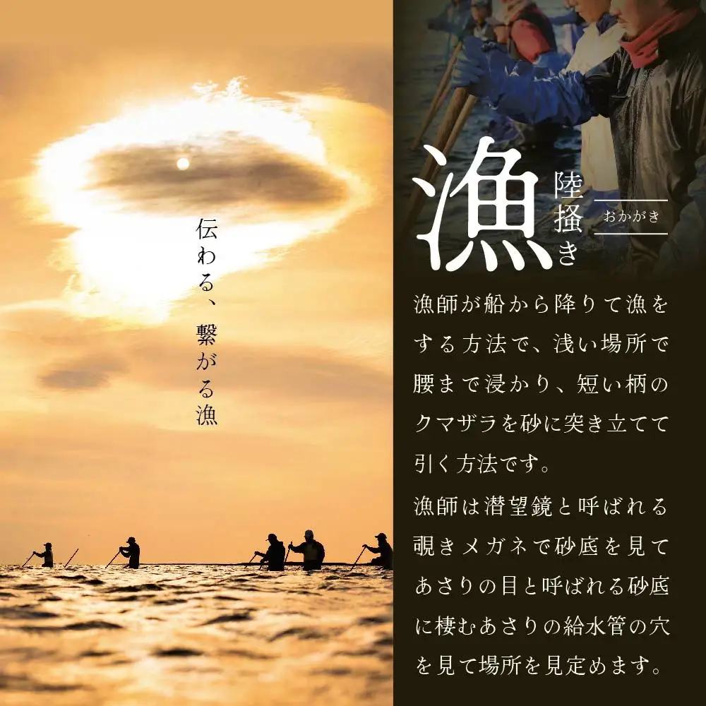 北海道 野付産 冷凍あさり 2kg (500g×4)【UY0000020】（ 北海道 別海町 あさり アサリ 貝 ふるさと納税 野付 人気  ふるさと納税 ）