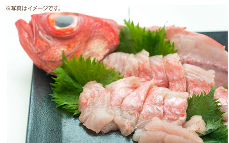 【先行予約】高知県産 天然 金目鯛 約1kg 〈2026年2月上旬～2026年11月末発送〉 /内臓・うろこ処理済み 刺身 煮付け たい タイ キンメダイ 【株式会社　四国健商】[ATAF004]