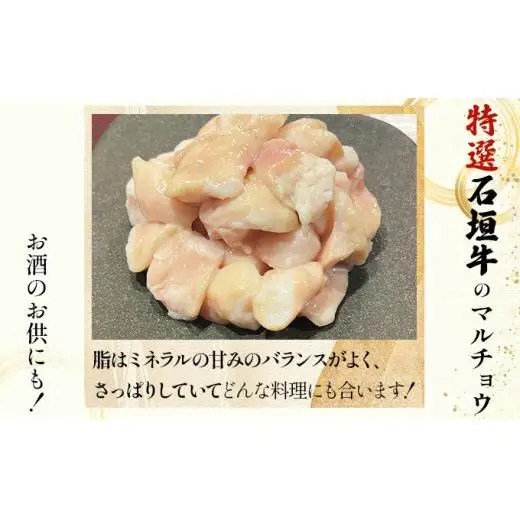 牛スジ500g×2、マルチョウ300ｇ×2の大容量セット　IM-24