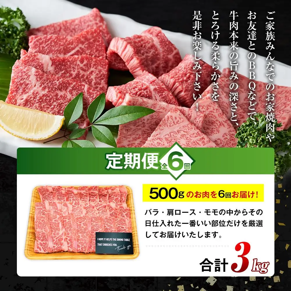 【定期便 全6回】おおいた和牛 焼肉用 500g