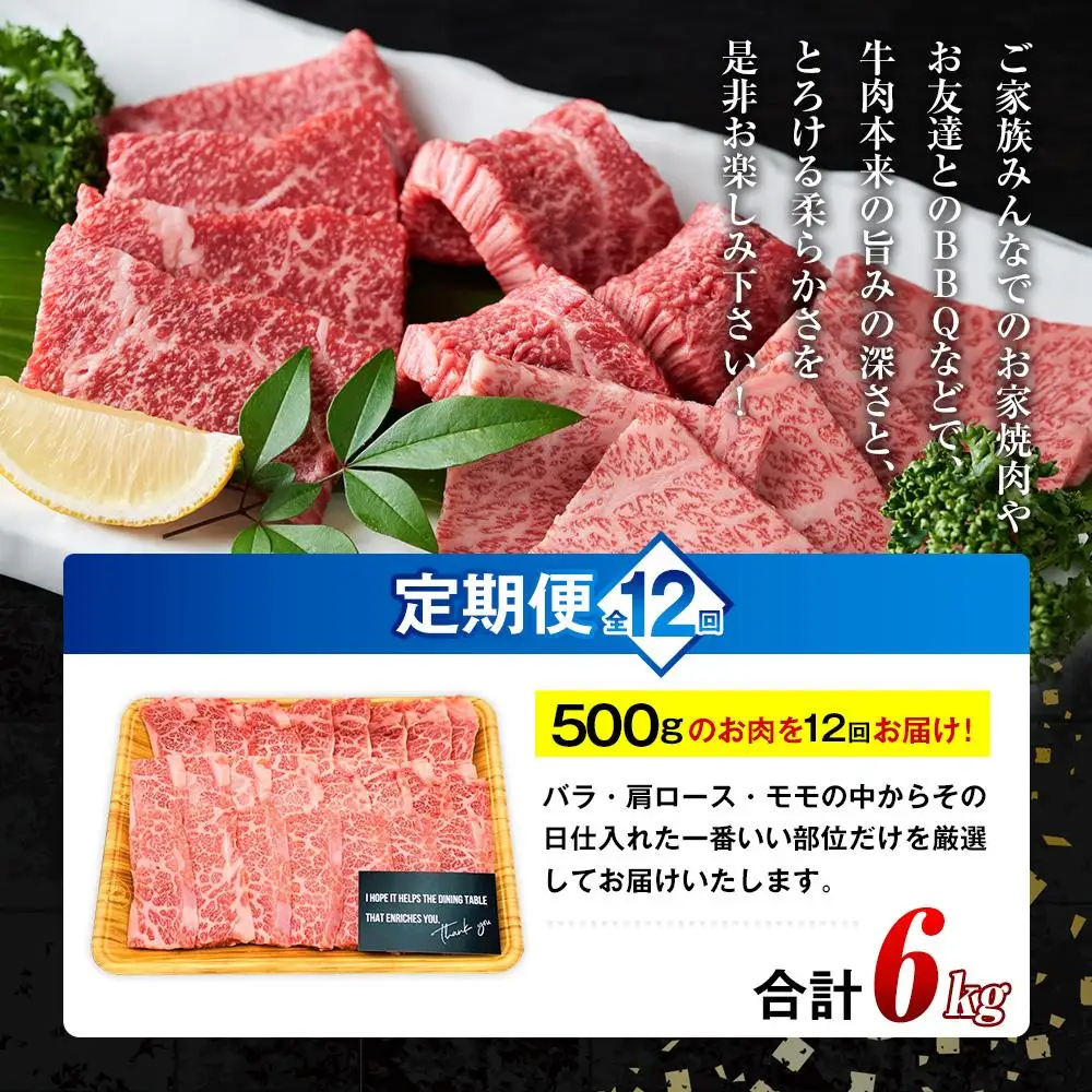 【定期便 全12回】おおいた和牛 焼肉用 500g