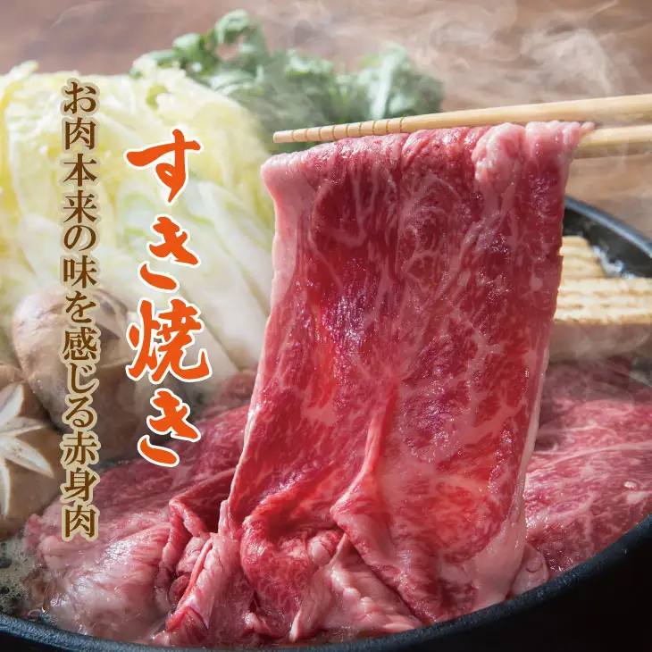 佐賀産和牛モモスライス赤身肉（500g）潮風F  B150-024