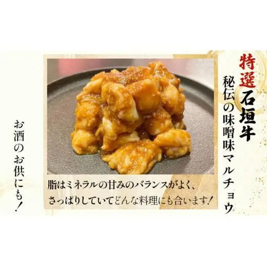 牛スジ500g、味噌味マルチョウ300ｇ×2のセット　 IM-28