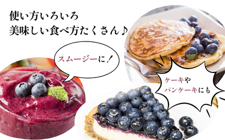 ブルーベリー 訳あり 冷凍 10kg フルーツ ベリー 果物