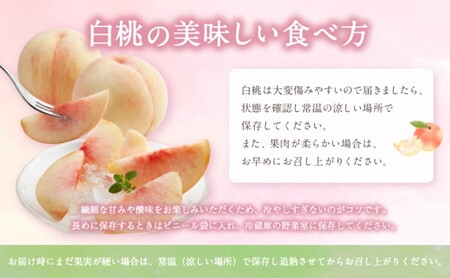 桃 【2026年 先行予約】 晴れの国 おかやま の 白桃 2kg(5玉～7玉) 