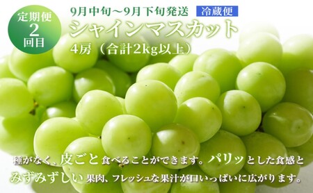 ぶどう 【2026年 先行予約】 晴れの国 おかやま の フルーツ 定期便  葡萄 ニュー ピオーネ シャインマスカット 岡山県産 国産 セット ギフト