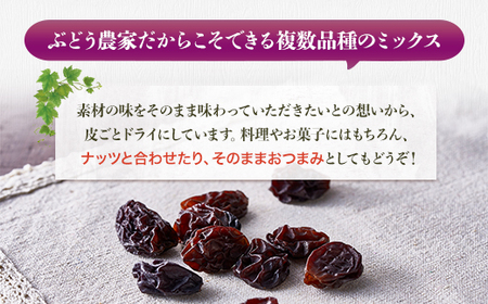 ほしぶどう 40g×5袋 国産 ドライフルーツ 無添加 複数品種 希少 レア 小分け 干し葡萄 干しぶどう 干しブドウ 保存食 備蓄食 常備食 食物繊維 鉄分 ほしぶどう 防災食品 ポリフェノール レーズン 製菓 製パン グラノーラ おやつ おつまみ