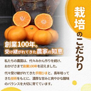 有田 みかん 大玉 10kg / 温州みかん 有田みかん 甘い 和歌山 柑橘 ※2026年12月上旬～翌年1月中旬に順次発送 【ymk004-10-2lA】