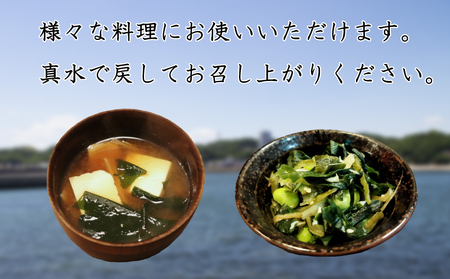 塩蔵わかめ 750g 冷凍 チャック袋入 お味噌汁 和物 ごはん 丼 サラダ 海藻 料理 愛知県 南知多町 師崎 ワカメ わかめ 海藻類 おすすめ 大人気 南知多産わかめ 愛知県産ワカメ