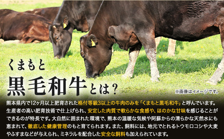 【A4～A5】くまもと黒毛和牛 サーロインステーキ  500g 《30日以内に出荷予定(土日祝除く)》 牛肉 くまもと黒毛和牛 黒毛和牛 冷凍庫 サーロイン ステーキ Esprit