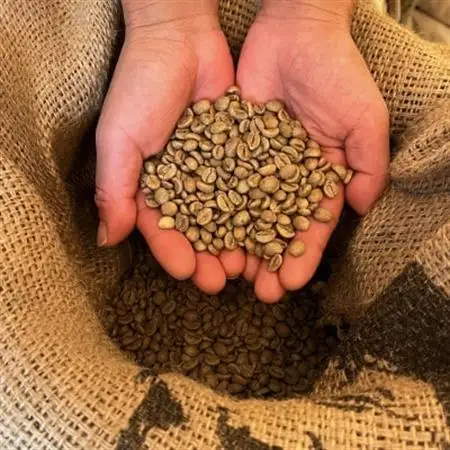 【毎月定期便】《豆3種計300g》ネコグラ珈琲焙煎所の煎りたて挽きたてコーヒーセット全3回_飲料・ドリンク コーヒー豆 コーヒー・コーヒー豆 珈琲 珈琲豆  定期便 定期便  _【4064341】