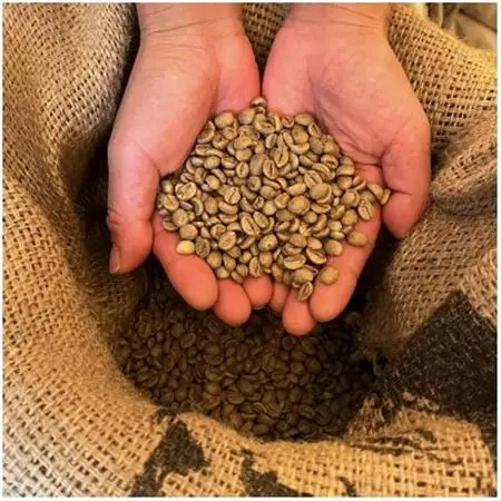 【毎月定期便】《豆3種計300g》ネコグラ珈琲焙煎所の煎りたて挽きたてコーヒーセット全6回_飲料・ドリンク コーヒー豆 コーヒー・コーヒー豆 珈琲 珈琲豆  定期便 定期便  _【4064361】