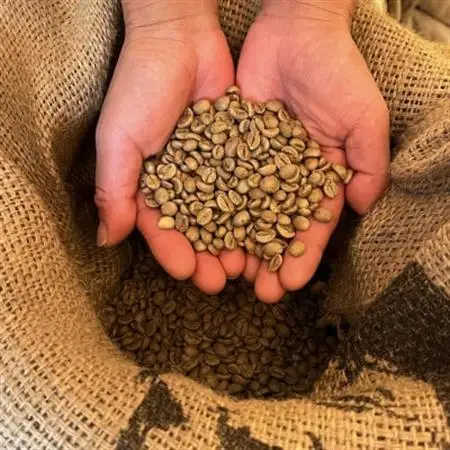 【2ヵ月毎定期便】《粉3種計300g》ネコグラ珈琲焙煎所の煎りたて挽きたてコーヒーセット全6回_飲料・ドリンク 粉 コーヒー・コーヒー豆 珈琲 珈琲豆  定期便 定期便  _【4064371】