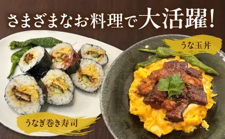 愛知県三河一色産　厚切りゴロっときざみ　うなぎ蒲焼　100ｇ×5P・U046-13