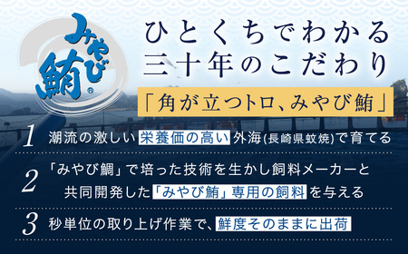 本マグロ 大賞受賞 みやび鮪 中トロ 計約1kg (約10～11人前) ／ 小分け トロ 霜降り ブロック クロマグロ 鮪 まぐろ さく マグロ 柵 刺し身 刺身 国産 本まぐろ 本鮪 中とろ 冷凍 魚 魚介 まぐろ丼 まぐろ漬け丼 海鮮丼 おすすめ 長崎市