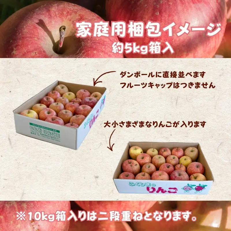 No.2965 ししどりんご園　りんご「サンふじ」家庭用　約10kg箱入【2026年度発送】