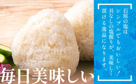 石垣の塩 500g×2 計1kg ｜ 沖縄 石垣 塩 調味料 海塩 SI-94