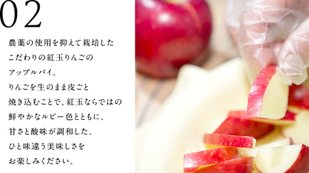 アップルパイ （ ホール 直径 20ｃｍ ） 自家製 ケーキ [BL001tu]