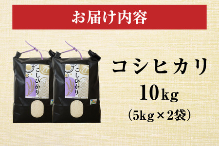令和7年度産 笠間 塙商店の コシヒカリ 10kg（5kg×2） 米 精米 ブランド米 お米 白米 国産 おにぎり 弁当 R7年産 ごはん おいしい 旨い ふっくら お米 茨城県 笠間市 いばらき ID-020