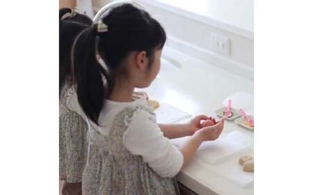 D374 ナチュラル和菓子体験キット「ねこ和菓子」