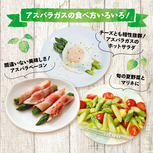 先行予約 アスパラガス 800g 令和8年産 アスパラ アスパラ アスパラ アスパラ アスパラ アスパラ アスパラ JA001_01