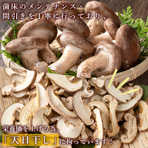 n328 干し 椎茸 100g 干椎茸 乾燥 スライス 菌床栽培 国産 種子島 【えいぜっと】