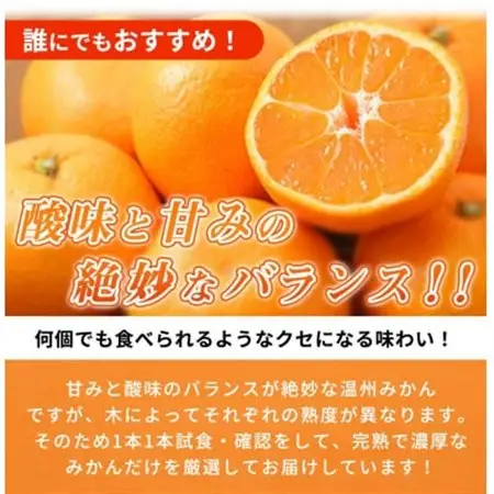 高級ブランド 秀品 紀州有田田村産みかん 3kg【1595336】
