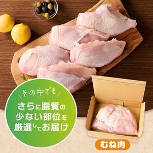 山梨県産＜健味鶏＞むね肉（２kg）