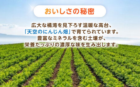 【訳あり】滝さんのにんじん 10kg AHCU005 にんじん