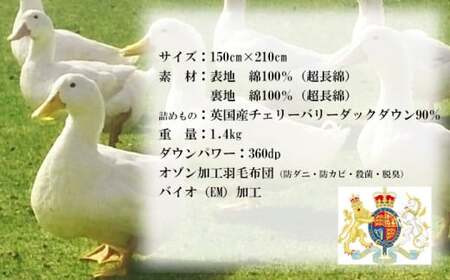 シングル 羽毛掛け布団（水色）サンコーソーイング八幡平オリジナル ／ 布団 ふとん お布団 おふとん 羽毛布団 掛け布団 掛ふとん 掛布団 羽毛 羽毛入り 寝具 綿100％ 羽毛掛布団 シングル布団 国産 日本製 工場直送 お取り寄せ サンコーソーイング