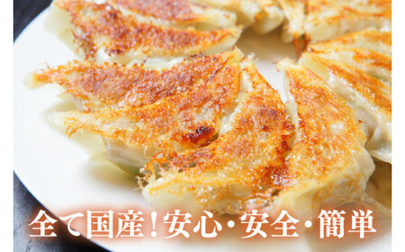 新琉流生餃子 計80個(20個入り×4パック) 